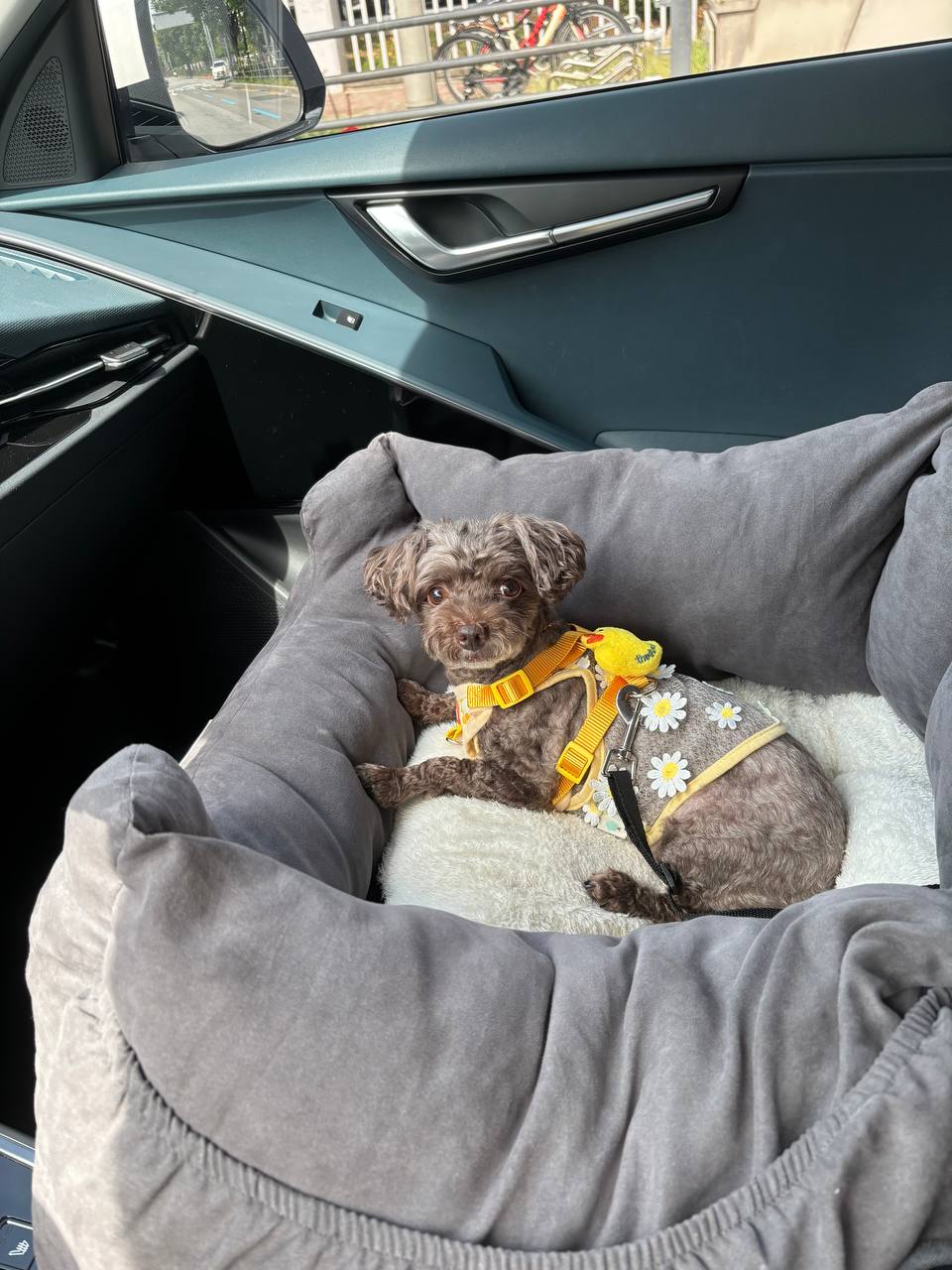 ์ค๋ฆฌ ํ๋ค์ค