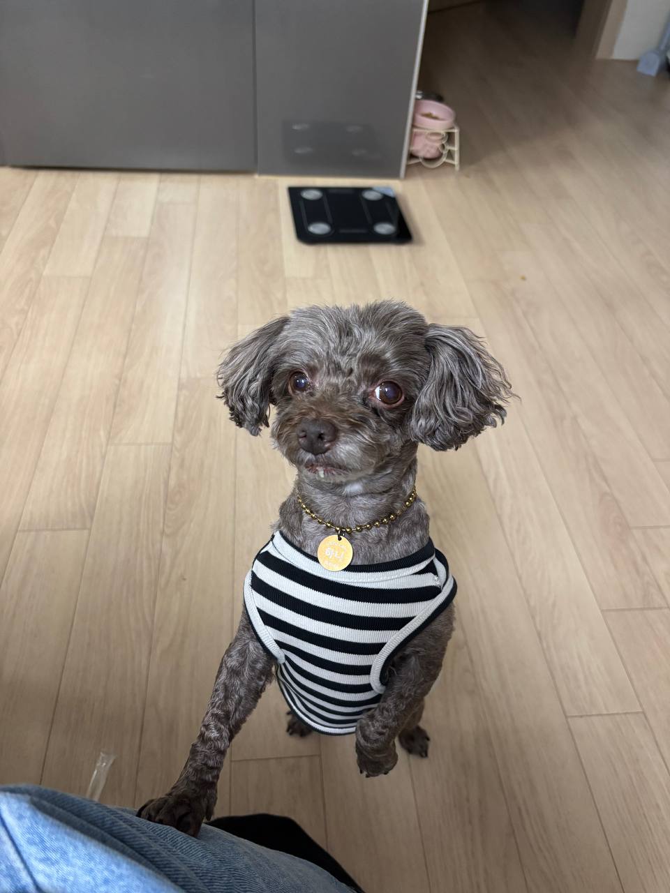 ์ค๋ฌด๋ฌ + ๊ธ๋ชฉ๊ฑธ์ด